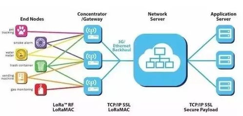 无线通信网络之LORA技术及其在信息系统集成服务中的应用